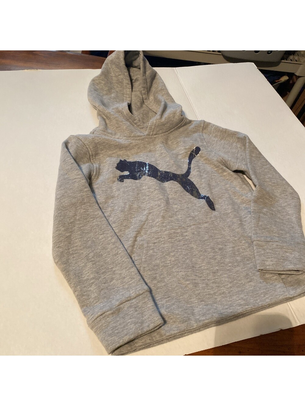 PUMA Boys 5 GRAY TODDLERS HOODIE